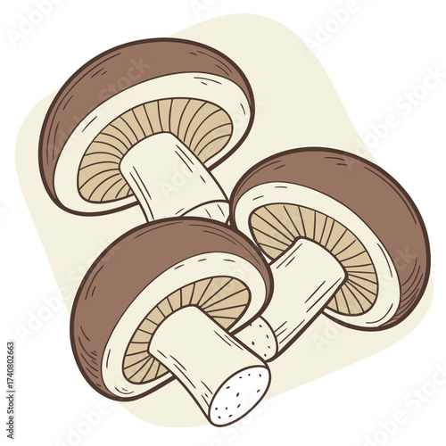 Vector art of three brown cap mushrooms with gills and stems, arranged in a cluster, showcasing their natural texture and earthy tones on a light beige background