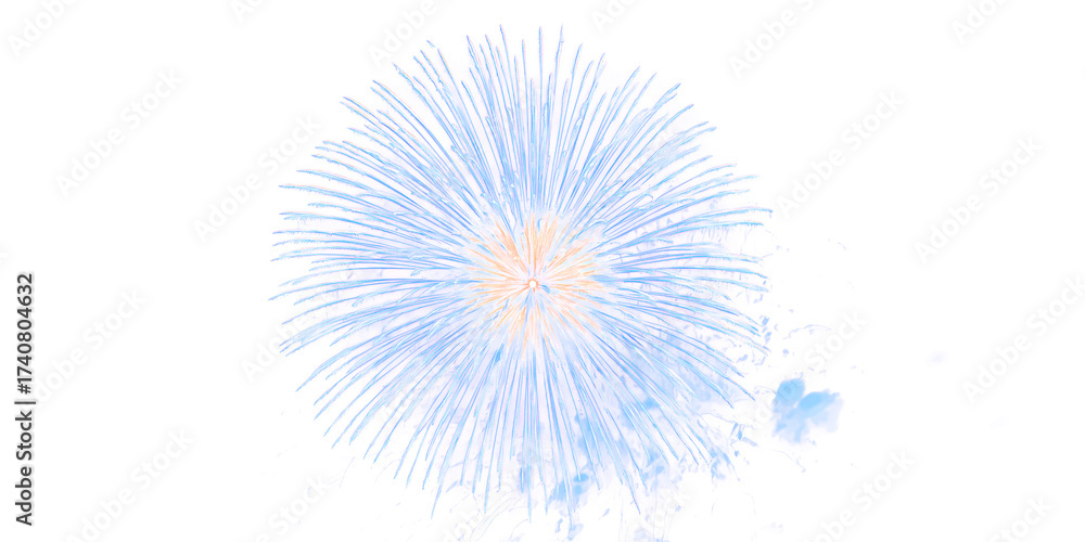 Obraz premium Celestial Burst of Color: A stunning firework display explodes, painting the sky with a breathtaking display of color and light, evoking feelings of celebration and awe.