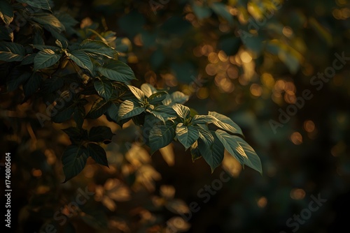 Foliage and leaf shadow background. Nature texture wallpaper