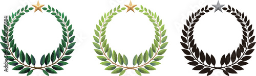 Elegant laurel wreath award design with gold and silver star decoration