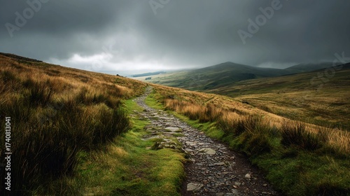 Dramatic winding cobblestone path ascends through lush green and golden grassy hills under a moody, overcast sky, inviting exploration and adventure into the vast landscape