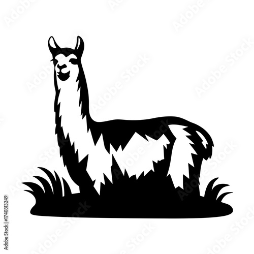 Stylized llama illustration in black and white with grass background