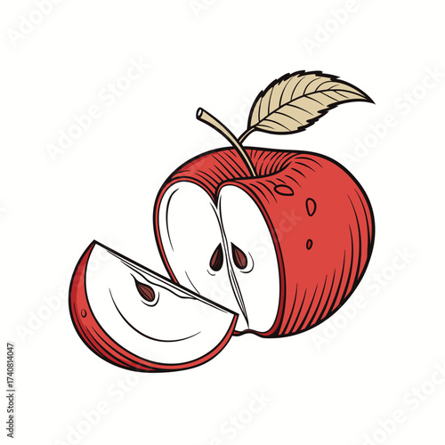 Vector illustration of an apple 