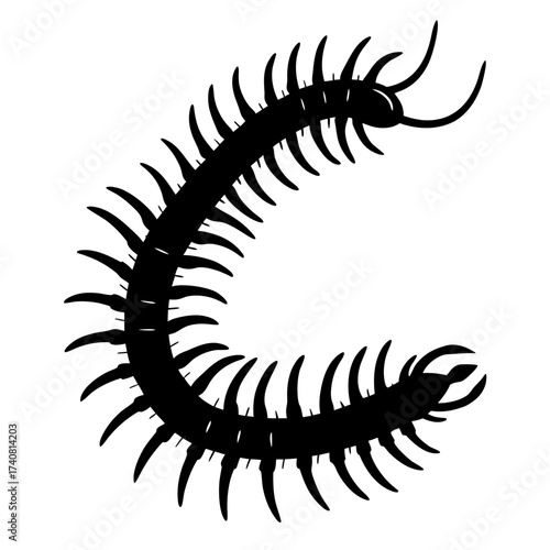 Stylized Centipede Silhouette Vector Image Creepy Crawly Arthropod, Dangerous Insect
