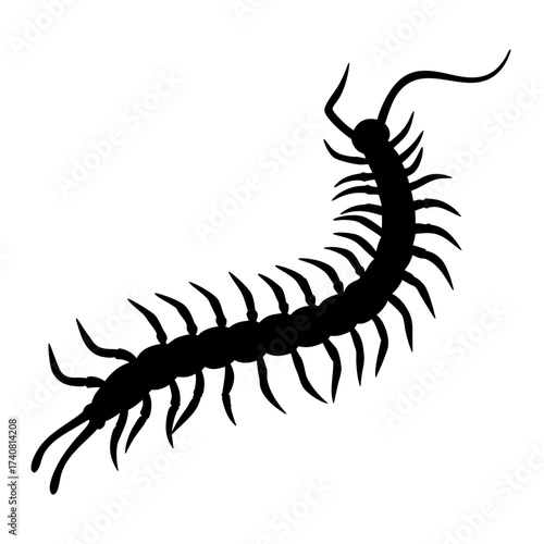 Silhouette of a Centipede with Many Legs Curving on a White Background