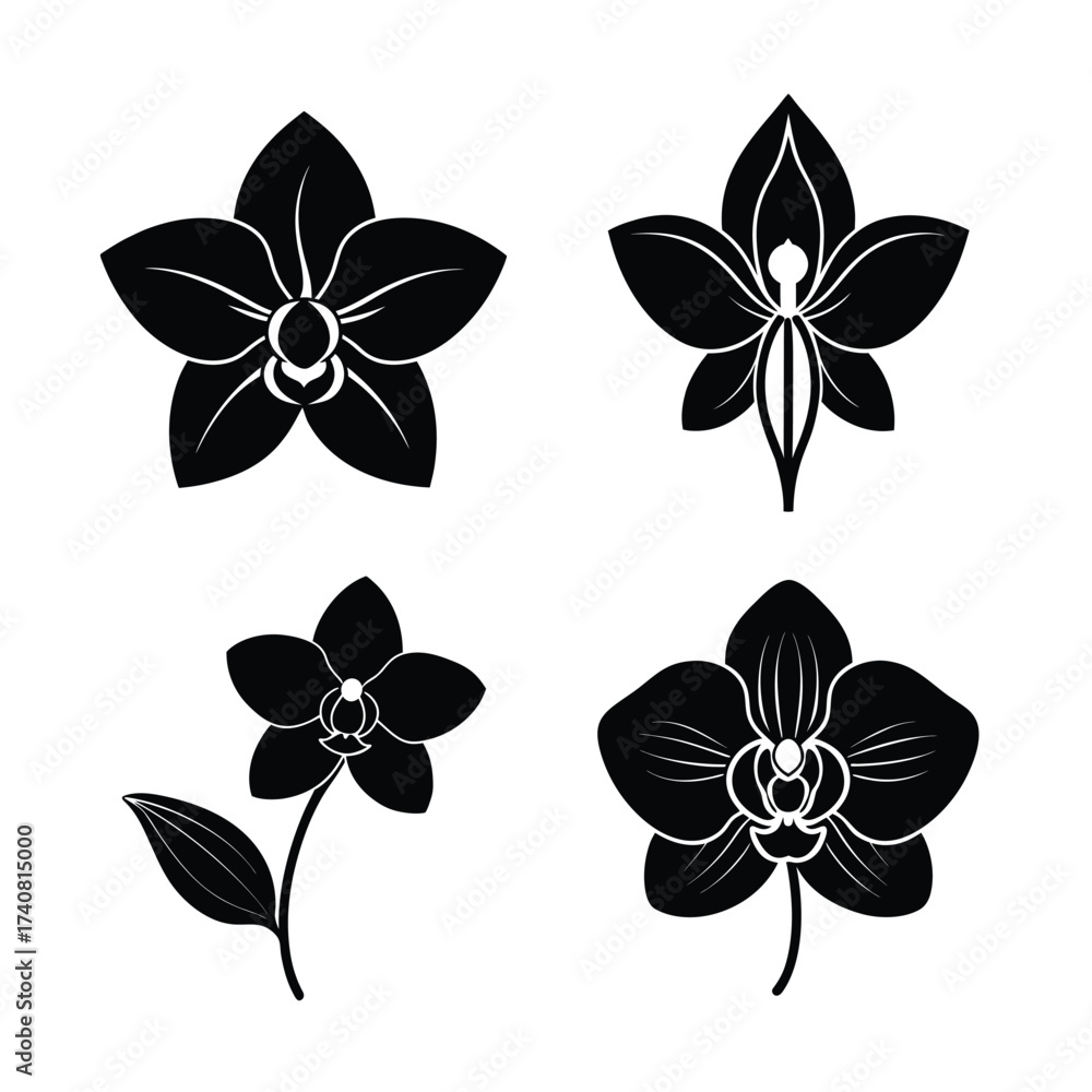 Obraz premium Orchid Flower Icons Collection for Nature Tropical and Decoration