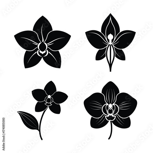 Orchid Flower Icons Collection for Nature Tropical and Decoration