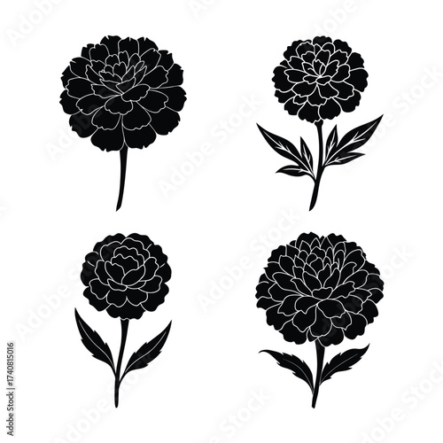 Marigold Flower Icons Collection for Nature Garden and Decoration