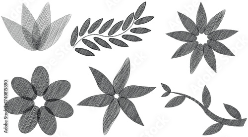 Botanical sketch collection featuring flowers and leaves in monochrome design