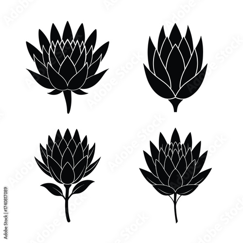 Protea flower icons collection for floral and botanical design