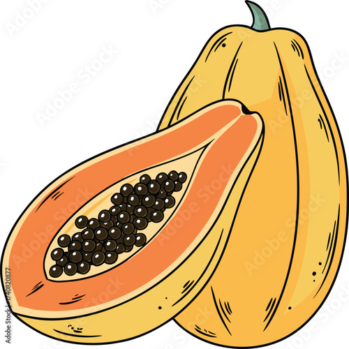Vector illustration of a papaya on a transparent background