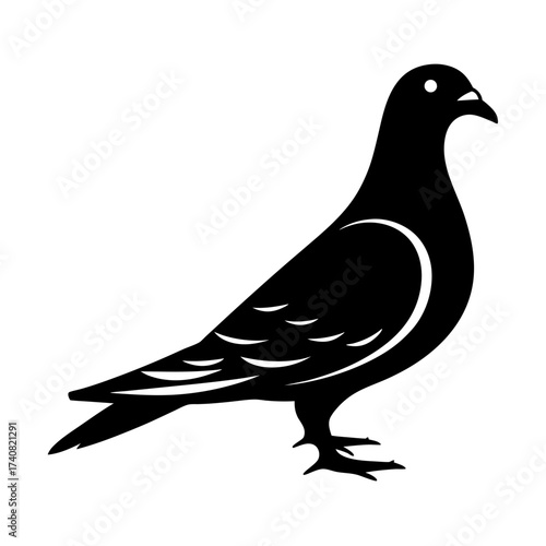 Black and white pigeon vector image with stylized wing design