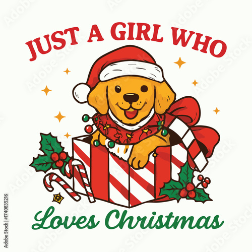 Golden Retriever Puppy in Christmas Gift Box with Ornaments holiday