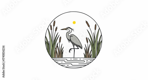 vector illustration of a bird