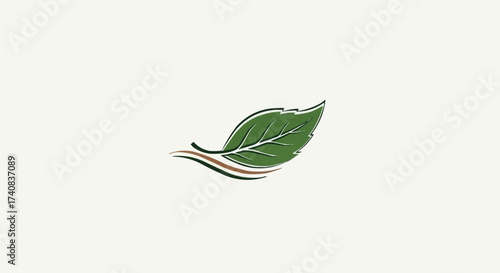 green tea with leaves isolated on white