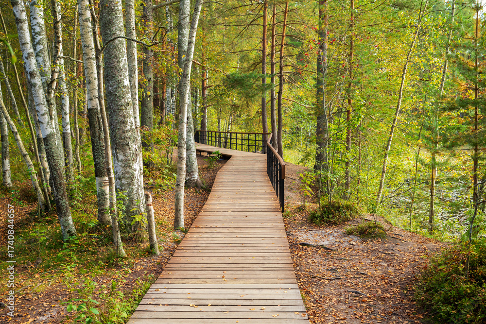 Fototapeta premium A smooth wooden pathway leads through thick greenery beside a tranquil body of water. The trees are vibrant with the colors of early autumn. This serene scene invites a moment of reflection.