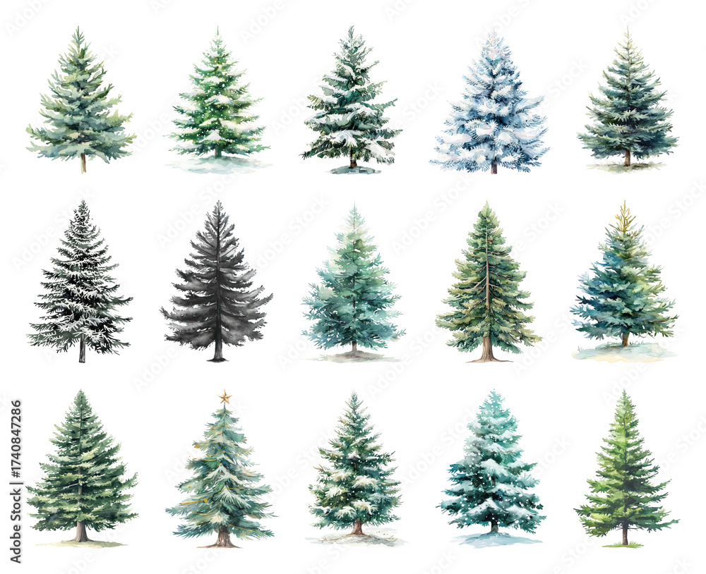 Obraz premium Watercolor evergreen trees collection.