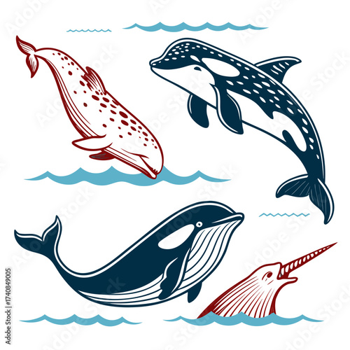 Vector art of collection of whale vector illustration set of marine mammal in different styles design element for logo, emblem, poster, tshirt