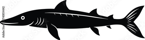 Lake Sturgeon Line Art Silhouette Vector, Freshwater Fish and Great Lakes Icon, Sturgeon Silhouette Vector Art Illustration.