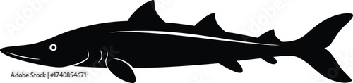 Lake Sturgeon Line Art Silhouette Vector, Freshwater Fish and Great Lakes Icon, Sturgeon Silhouette Vector Art Illustration.
