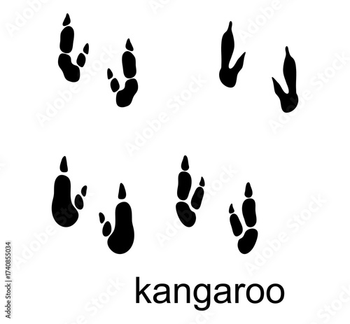"Kangaroo Paw Icon – Minimal Vector Symbol of Wildlife & Nature"