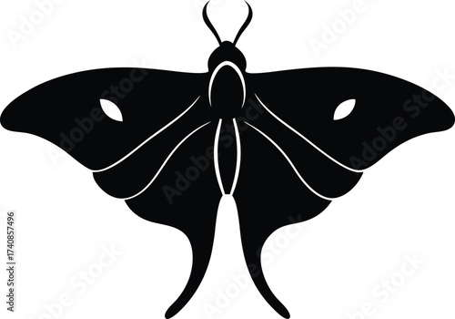 Moth silhouette line art vector illustration design, Ethereal and Nature Insect Illustration.
