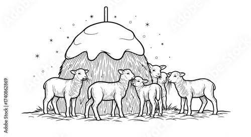 Lambs standing near snowy haystack in winter landscape, adorable farm scene