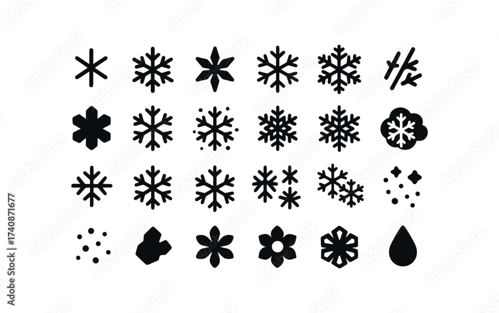 Fototapeta premium vector solid black filled icons Snowflakes (Types) simple, flake, crystal, star, hexagon, dendrite, needle, plate, frosted, glitter, icy, flake.
