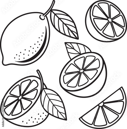 Lemon and lime citrus fruit seamless pattern vector illustration.