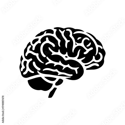 Human brain representing intelligence and cognitive function with intricate details, symbolizing mental health and intellectual capacity.