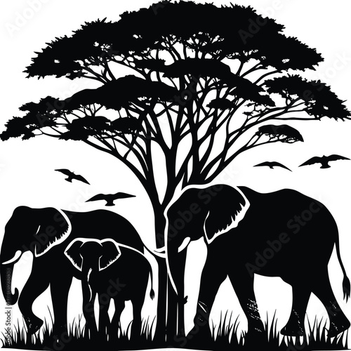 African savanna landscape with a family of elephants and birds flying under a large acacia tree silhouette