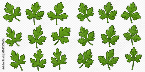 A collection of parsley leaves, arranged in a grid pattern on a transparent background.
