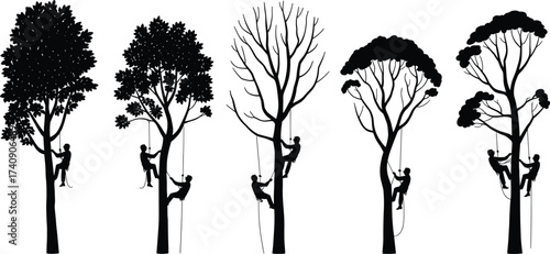 Silhouette illustration of arborists climbing trees with ropes and harness, forestry workers pruning branches, tree maintenance, arboriculture, logging industry design