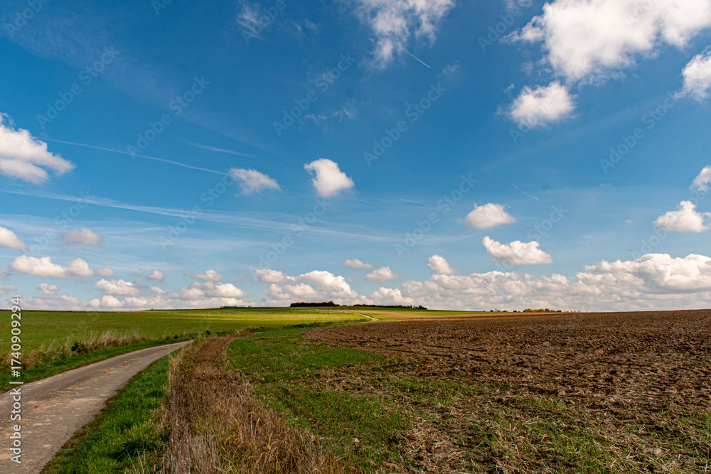Obraz premium Promenade à la campagne