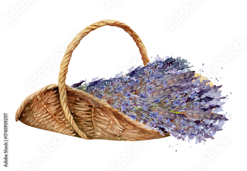 Wild lavender bouquet in vintage enamel jug, floral lavandula bunch, two heart shapes, striped spotted. Isolated illustration hand drawn in watercolor. Cottage art, eco tag, Provence Valentine gifts.