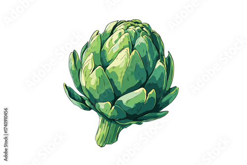 Artichoke artichoke ingredient natural isolated