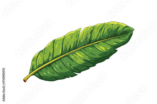 Banana leaf wrapper asia isolated
