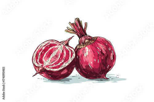 Beautiful beetroot closeup sweet isolated