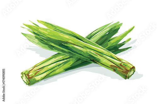 Lemongrass leaf slices full isolated