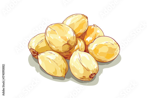 Peeled garlic cloves plant isolated