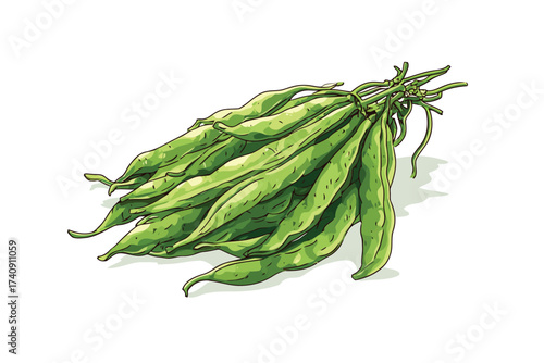 Yardlong bean vegetable vegetarian isolated