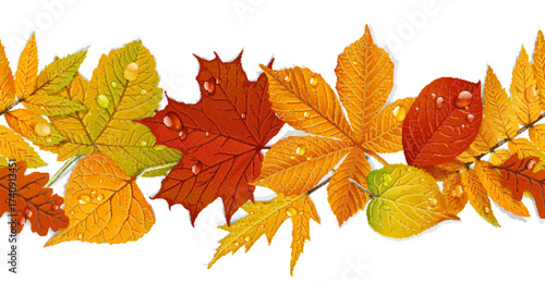 Seamless curb of autumn leaves isolated on white background