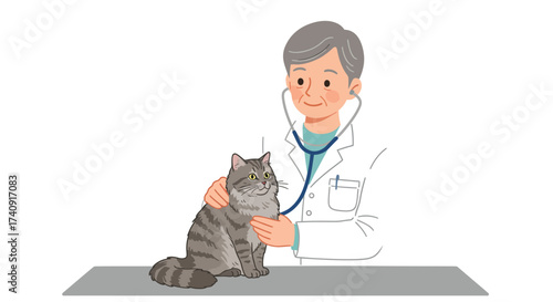 Vet examines striped cat with stethoscope on table in clinic setting white background