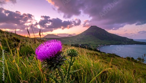 A vibrant thistle blooms with a scenic coastal mountain background