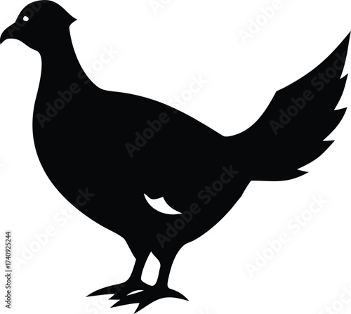 Sage Grouse Silhouette against Sky