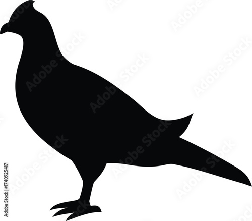 Majestic Sage Grouse Bird Silhouette