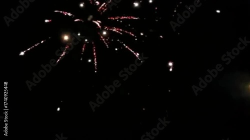 Vibrant Fireworks Bursting in the Night Sky