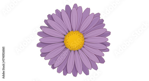 A detailed illustration of a purple flower with a yellow center against a white background