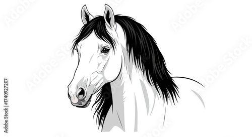 Digital illustration of a horse head, white coat, black mane, and expressive eye