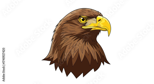 A stylized illustration of an eagle's head with a fierce expression and detailed brown feathers